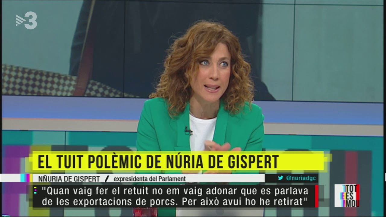 El tuit polèmic de Núria de Gispert
