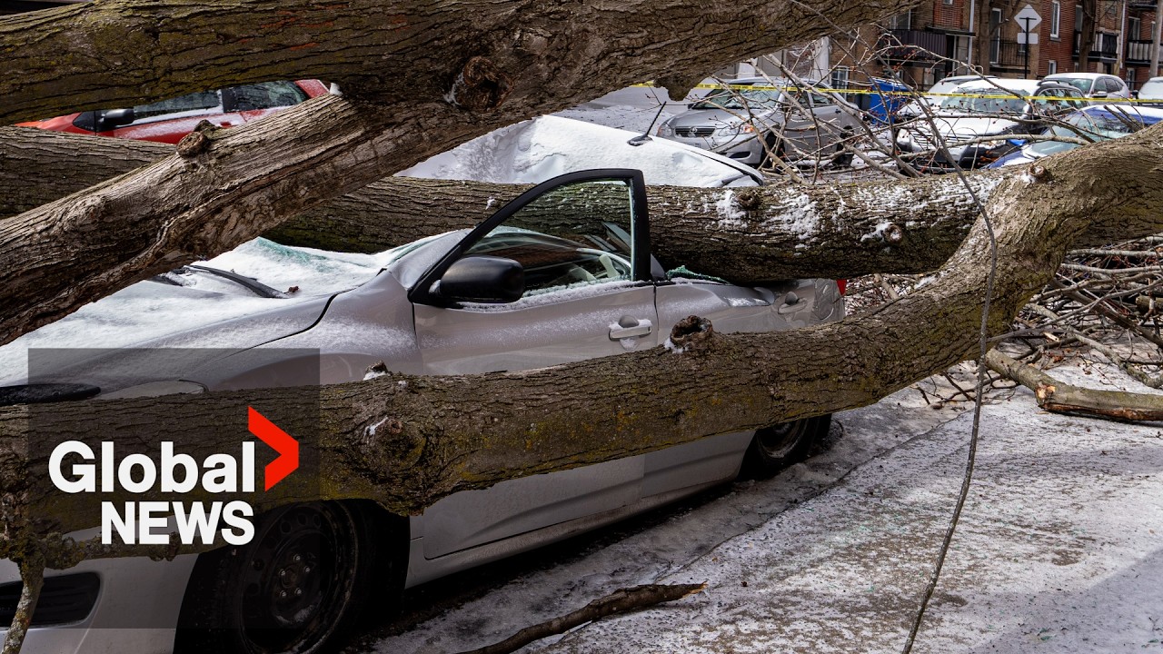 Quebec windstorm downs trees, leaves thousands without power