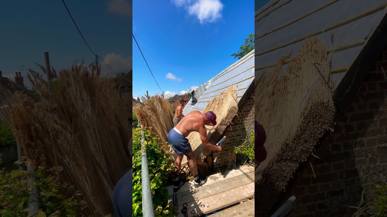 Thatching a cottage with new water Reed #youtube #youtubeshorts #satisfying #viral #asmr