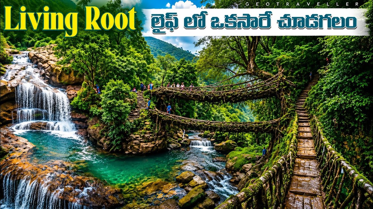 Part-3 Chirapunji | Wai sawdong Fall | Double Decker Living Root Bridge | Most Adventure Trekking