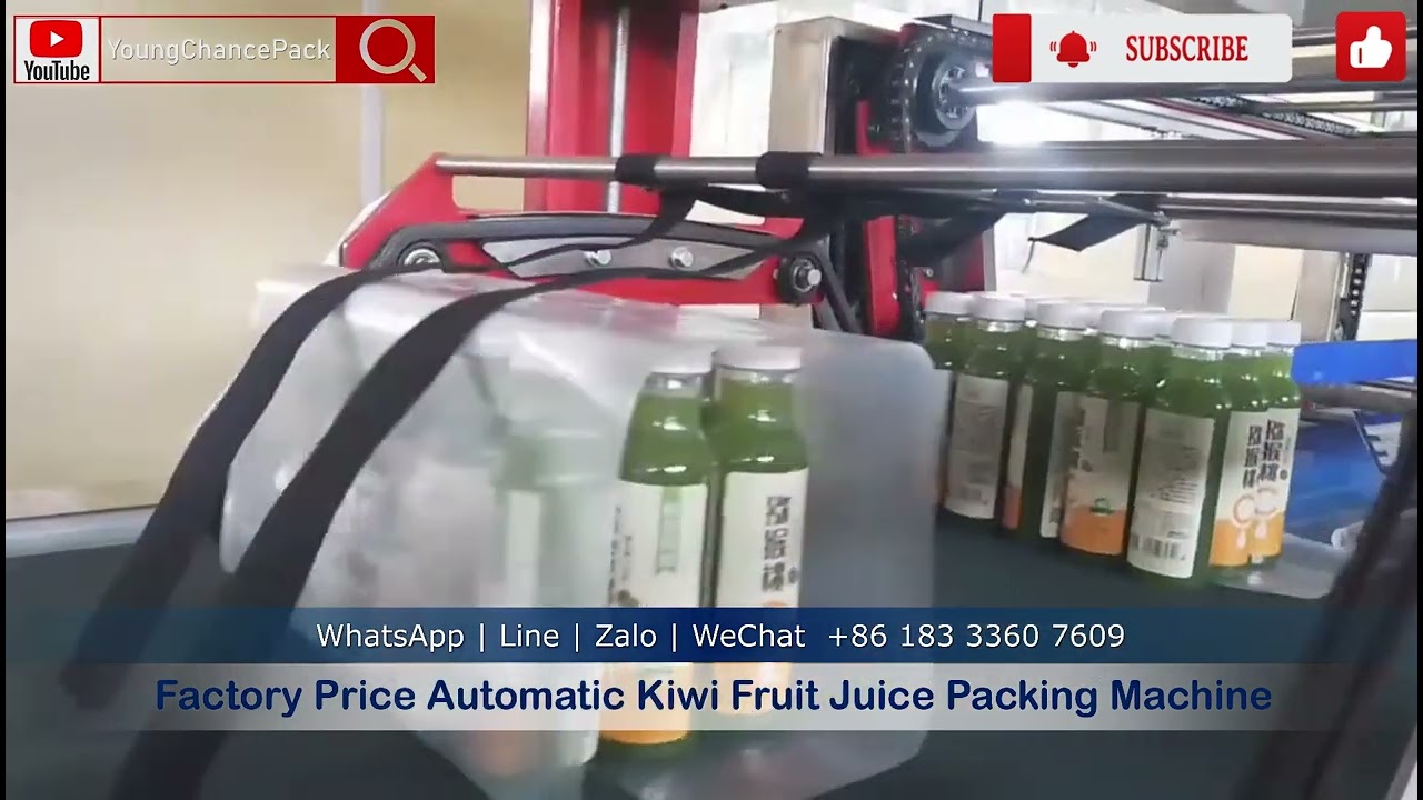 Factory Price Automatic Kiwi Fruit Juice Packing Machine