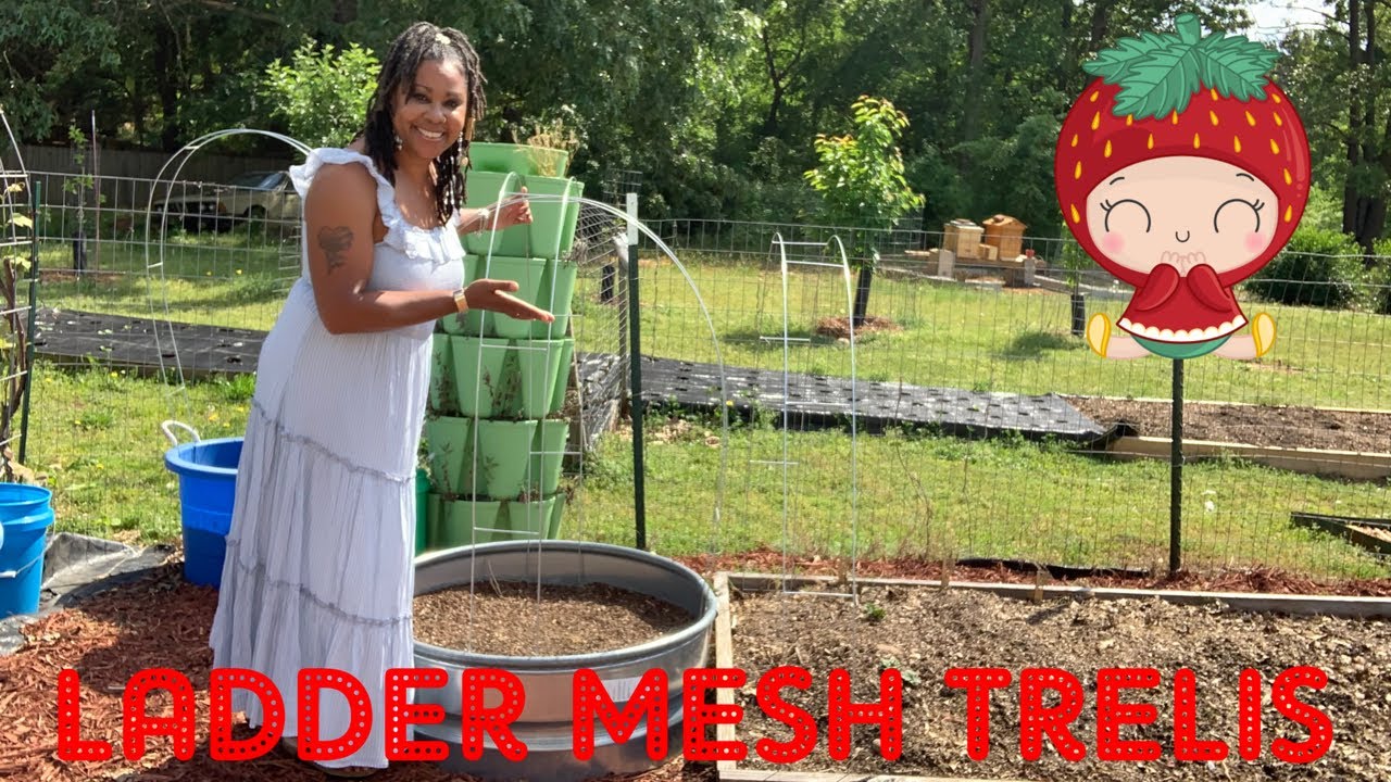 How to use Ladder mesh as a Trelis multiple ways in your Garden/Homestead🫑🌶🥒🥬