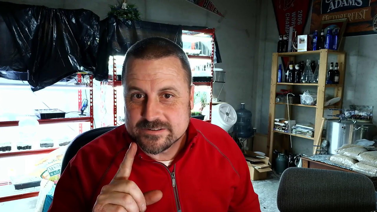 CrocGardener Live Stream