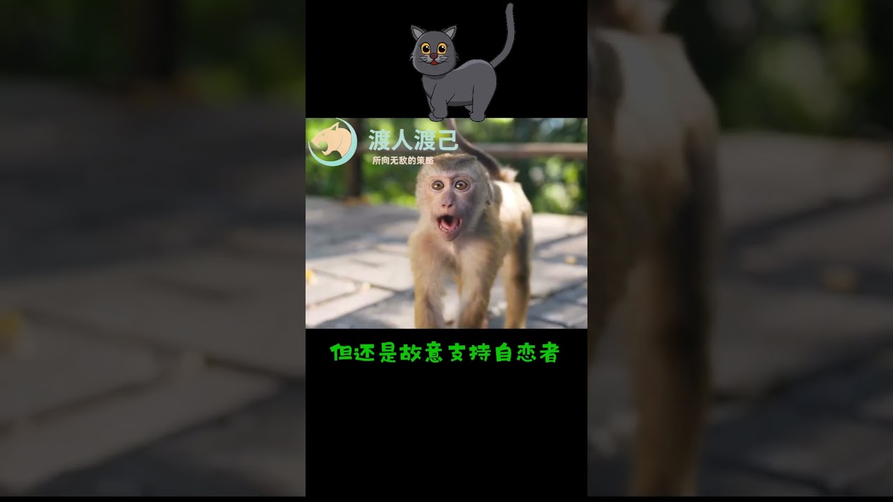 你会区分自恋者的隐性飞猴吗