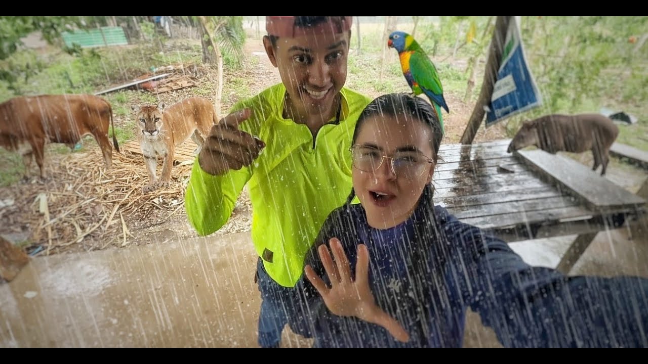 Filmando ANIMAIS domésticos e SELVAGENS aqui na ROÇA