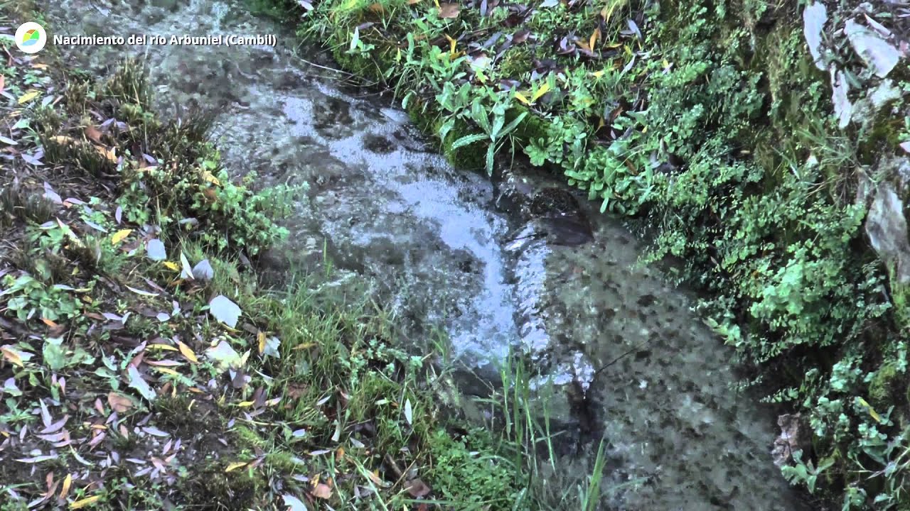 Nacimiento del río Arbuniel (Cambil)