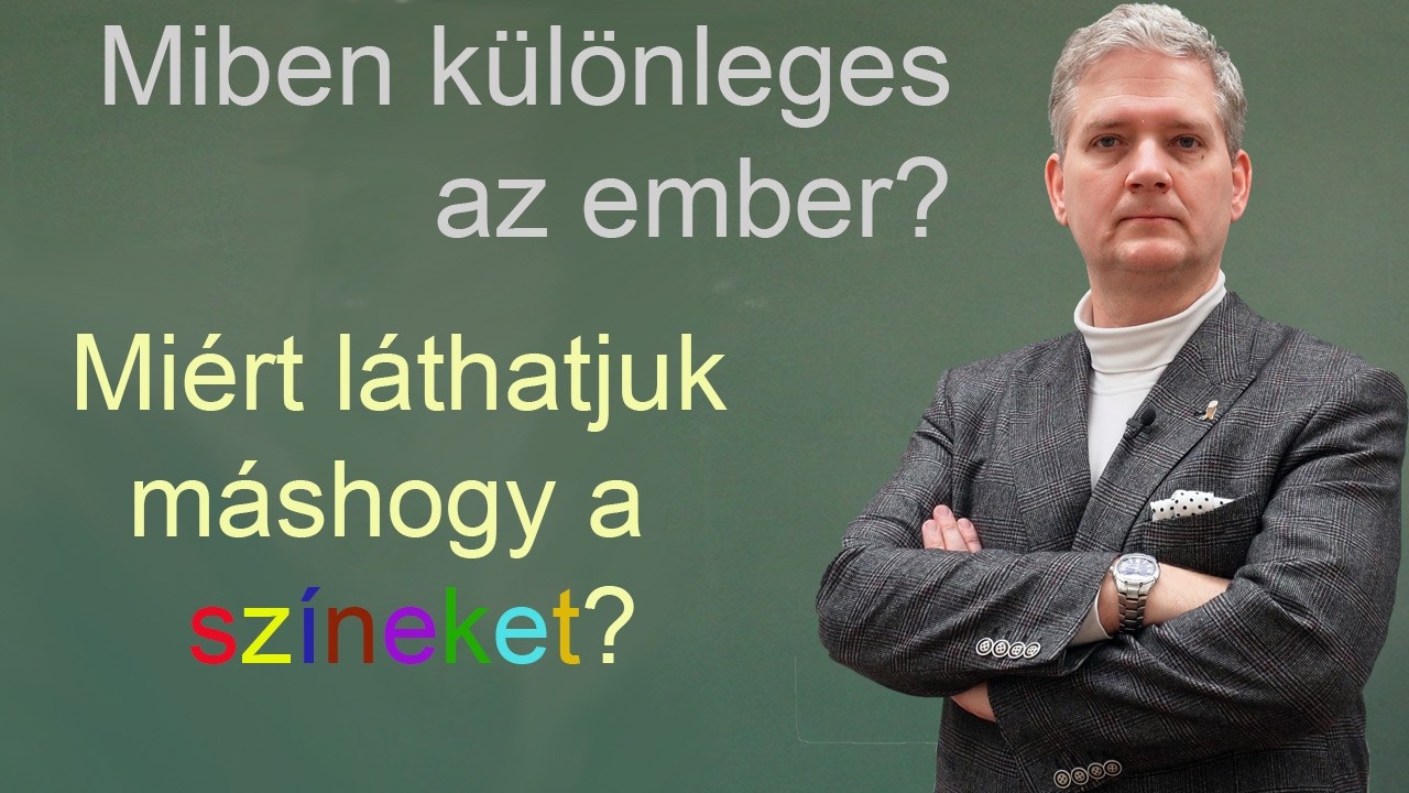 Nyelvi relativizmus - Miért láthatjuk máshogy a színeket?