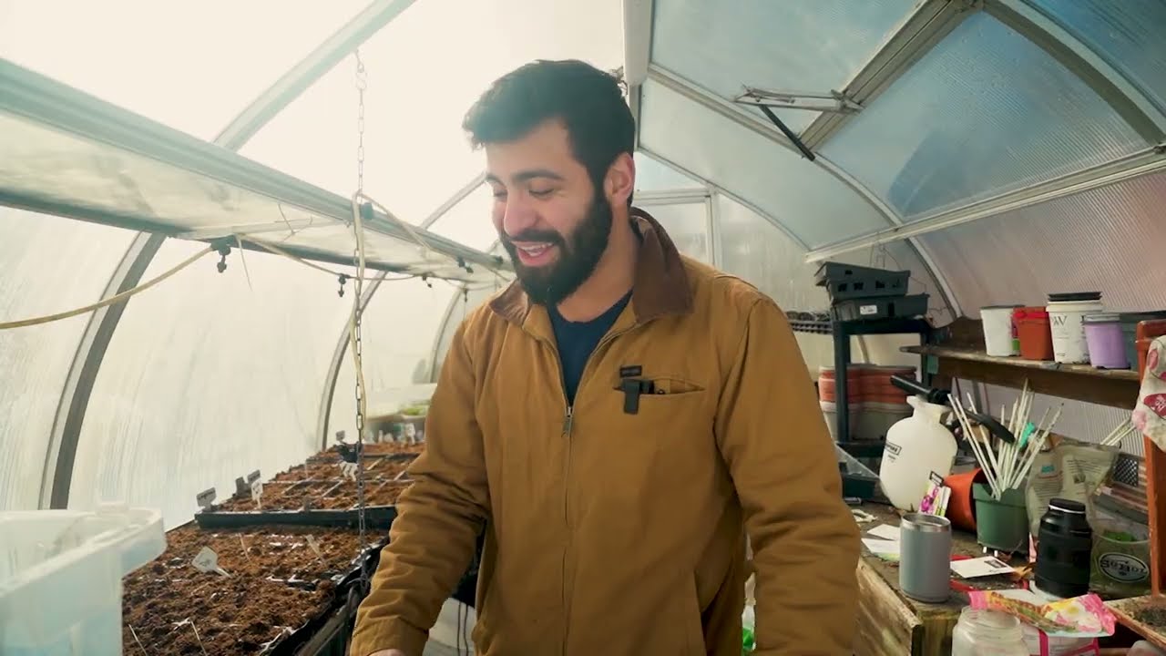 Seed Starting in a Greenhouse: Common Mistakes & Fixes