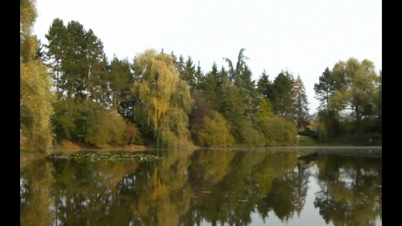 Willow Pool Lake Soissons France 2017