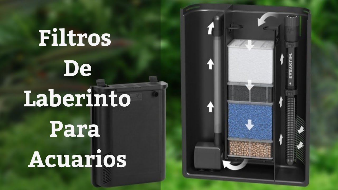 🔵 Filtros De Laberinto Para Acuario (Acuarios MB)