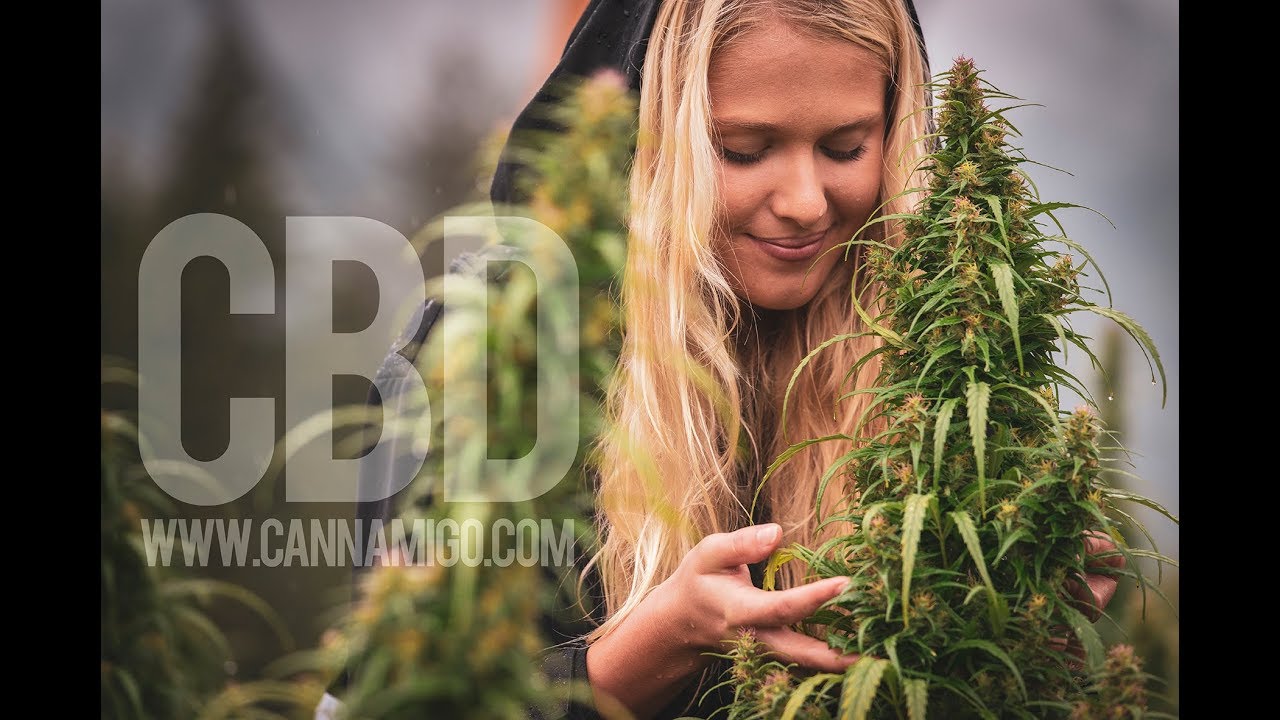 Meet the Farmer at Prannabis, for Cannamigo