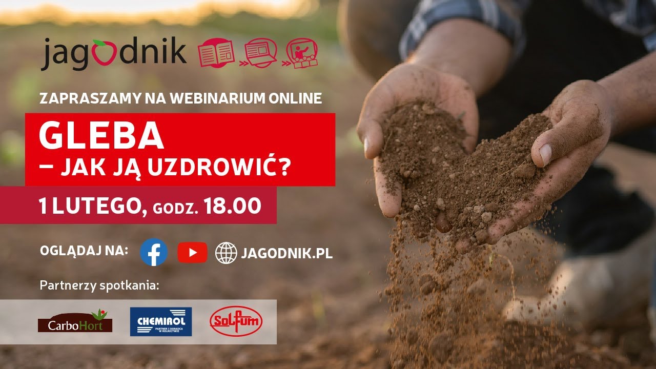 Gleba - jak ją uzdrowić?