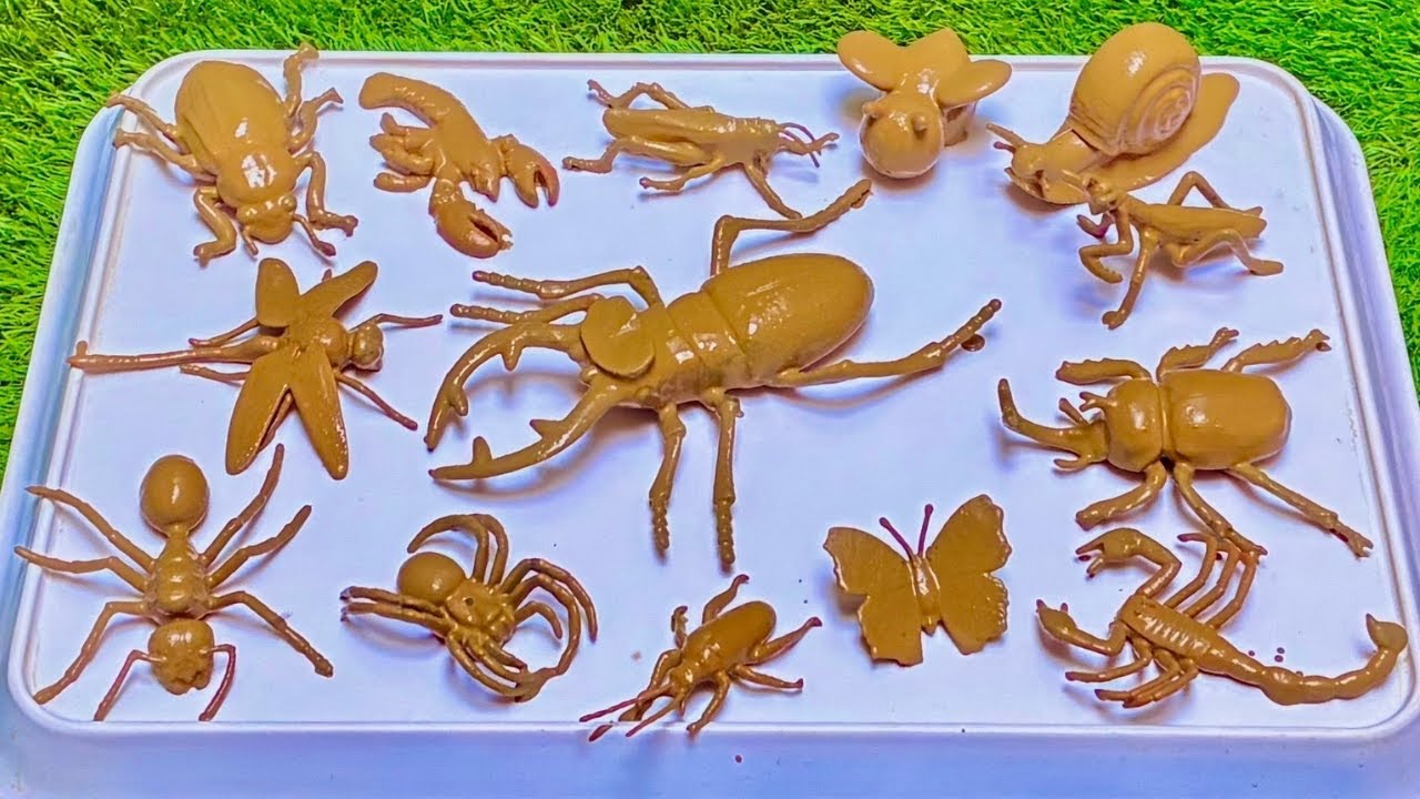 The Secret of Bugs: Discovering the Amazing World Tiny Creatures & Insects!
