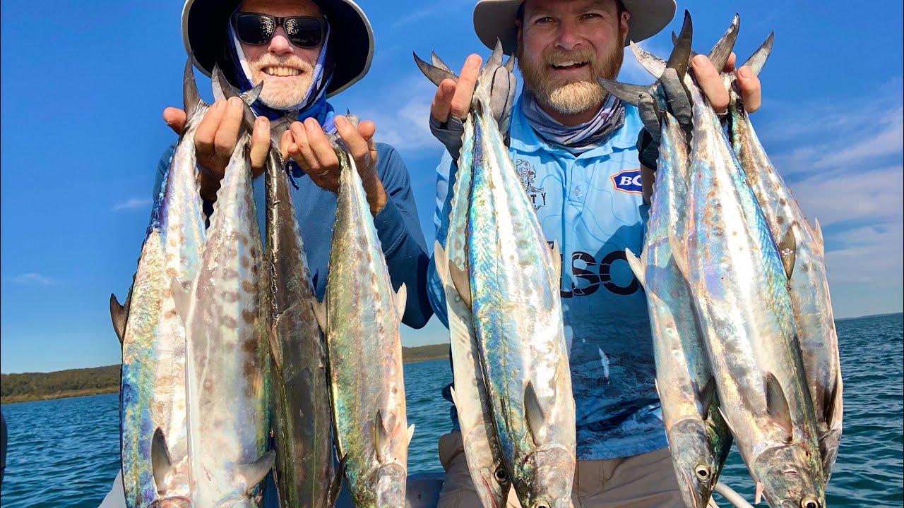 Easy Fishing!! Using Paravanes to catch dinner!