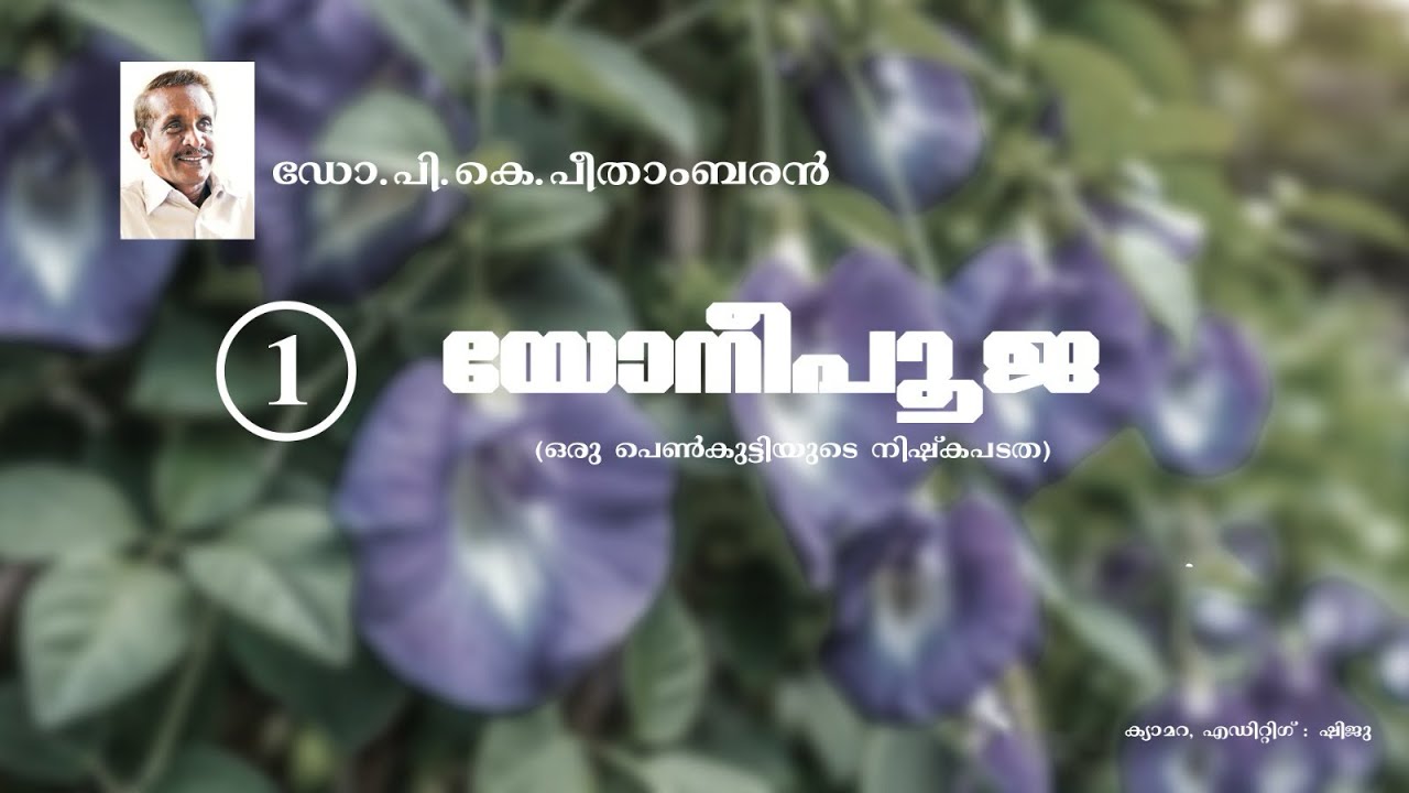 യോനീപൂജ