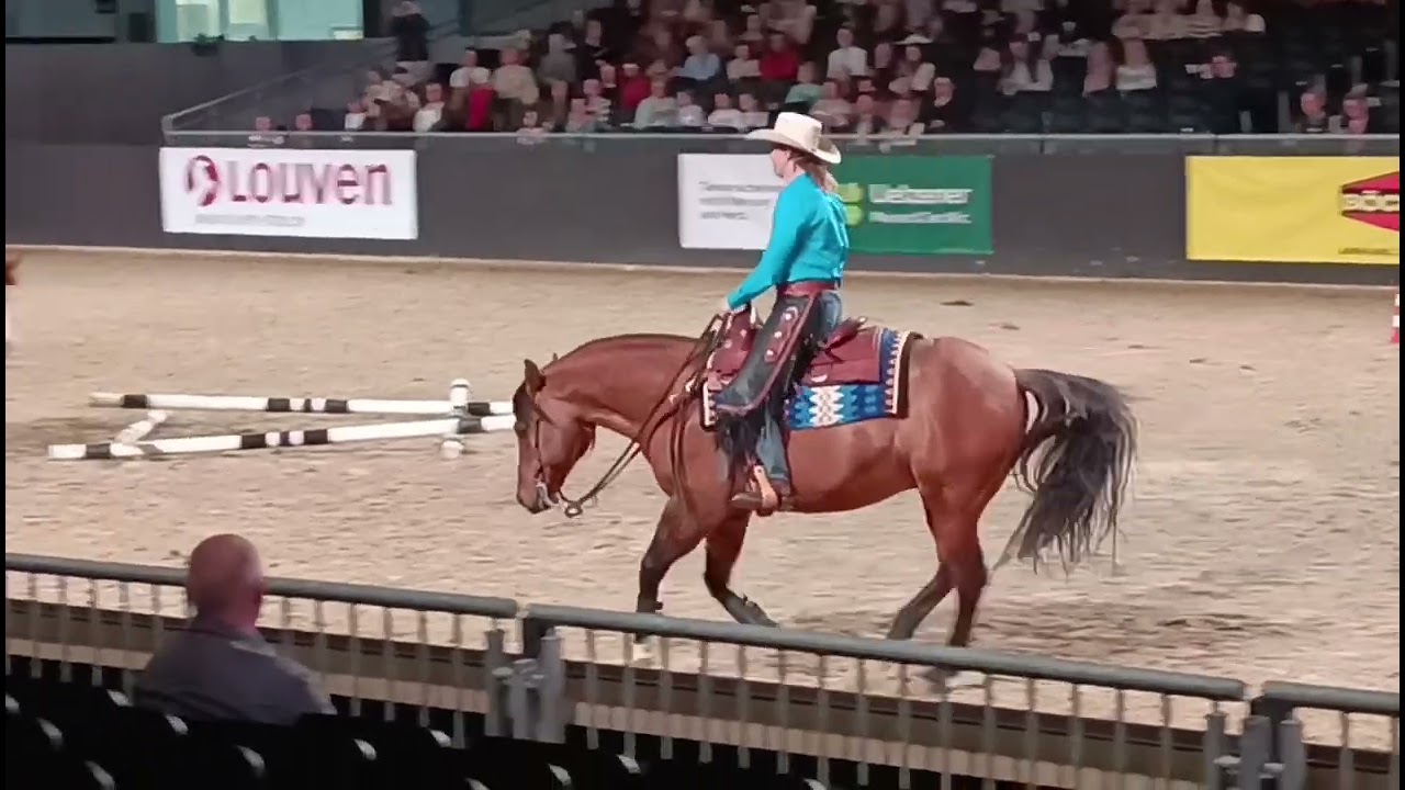EWU Vorführung im Rahmen der Equitana 2025 zum Thema Ranch Riding