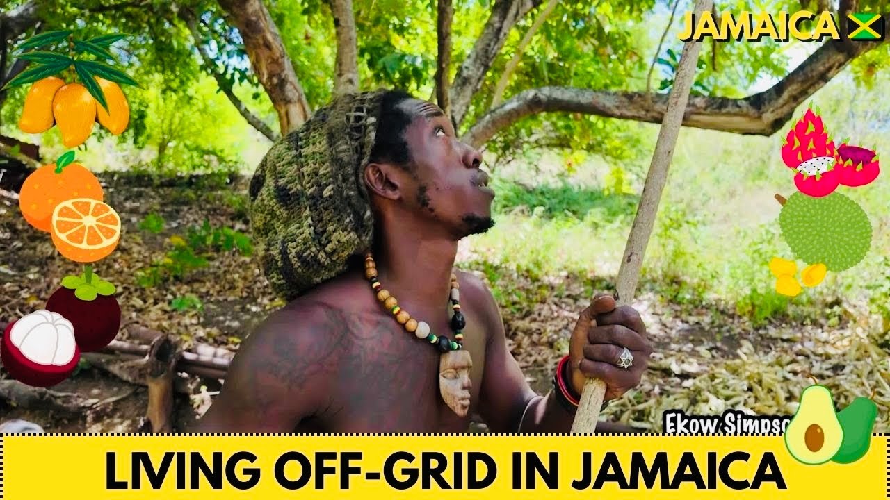 LIVING OFF GRID IN THE BUSH IN JAMAICA 🇯🇲 WITH HIGHERLEVELJA