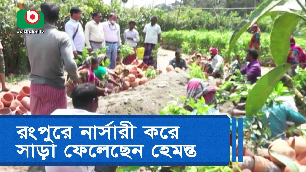 রংপুরে নার্সারী করে সাড়া ফেলেছেন হেমন্ত