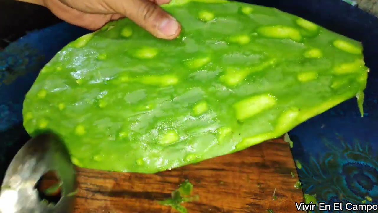 БОГАТАЯ ЕДА С NOPALES МЕНЕЕ ЧЕМ ЗА 10 МИНУТ. Жить в деревне.