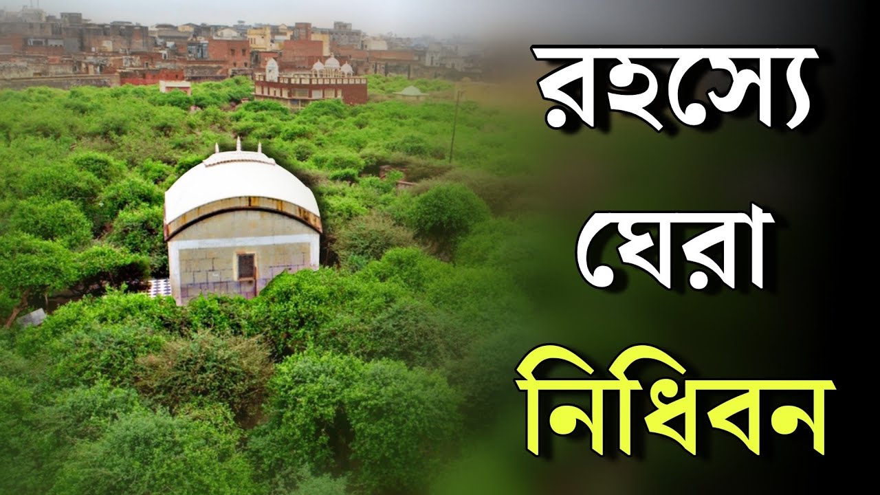 নিধিবনের 6টি অলৌকিক রহস্য | 6 interesting facts of Nidhivan Vrindavan | শ্রীকৃষ্ণের বৃন্দাবন