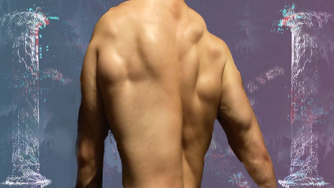 GET YOKED, CITIZEN! (Upper Back Training Motivation - Physique Transformation)