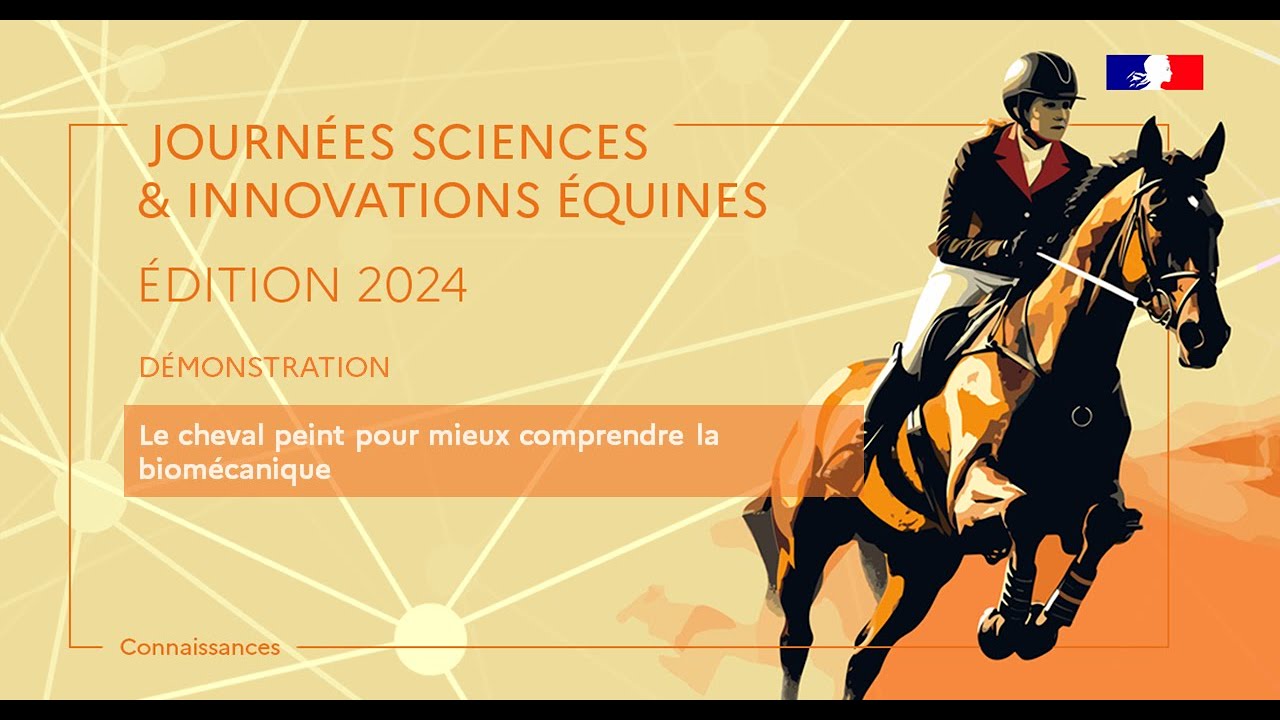 Le cheval peint pour mieux comprendre la biomécanique - Jean-Marie Denoix & Isabelle Burgaud