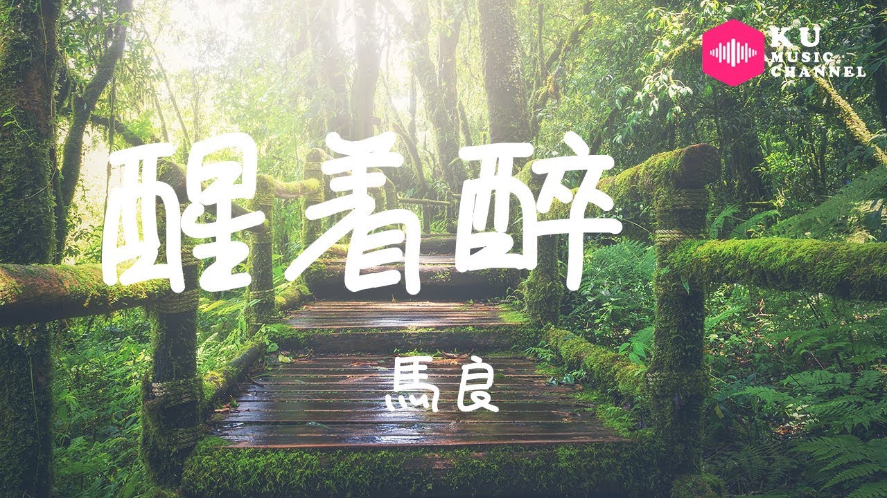馬良-醒着醉『站在公交車裏 抓著搖曳的手環』超高无损音質 動態歌詞Lyrics