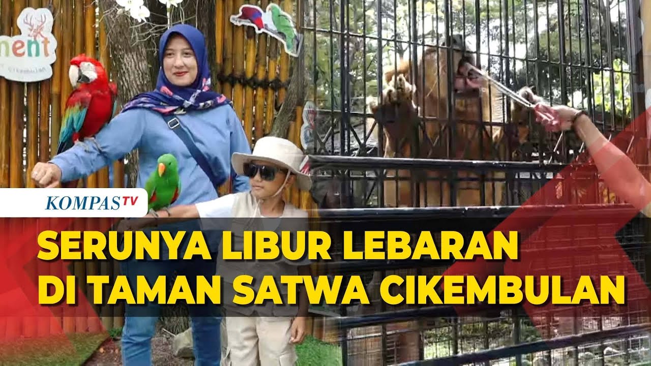 Serunya Berlibur Lebaran di Taman Satwa Cikembulan, Garut, Jabar