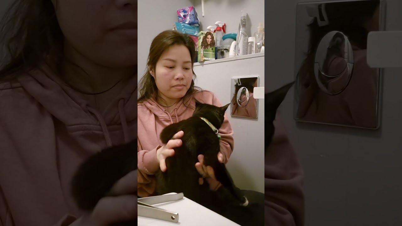 Å klippe klørne til katten  ตัดเล็บให้น้องแมว