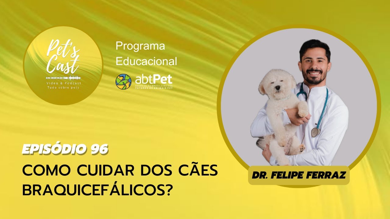 EP #96 - Como Cuidar dos Cães Braquicefálicos?