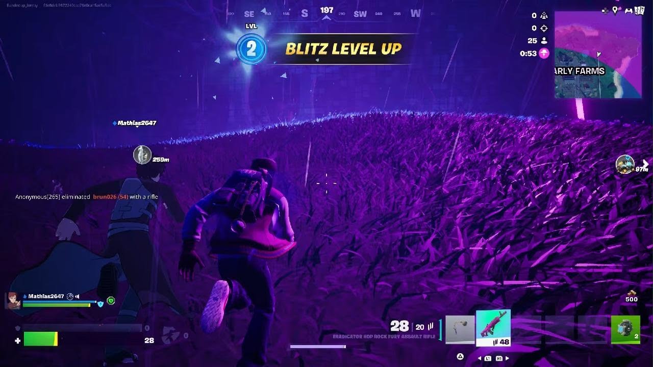 fortnite blitz royale W 👏🏾 *random duo