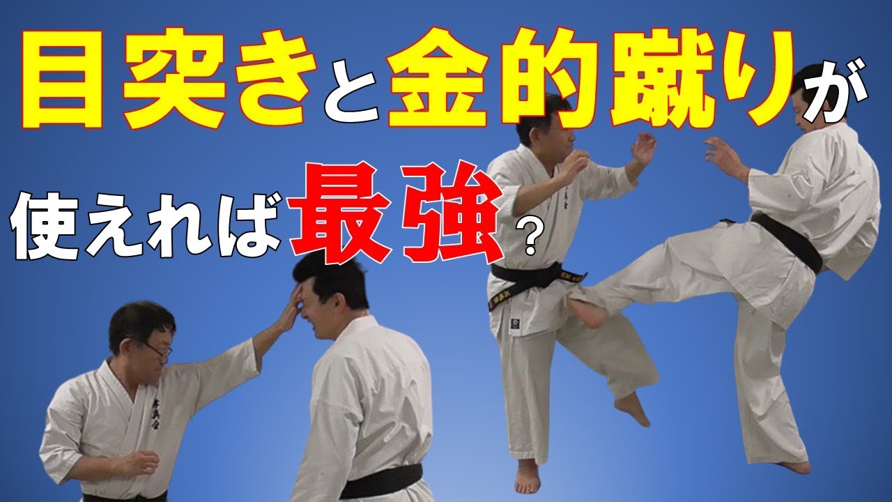目突きと金的蹴りが使えれば最強？：こんなに違う！格闘技と武術