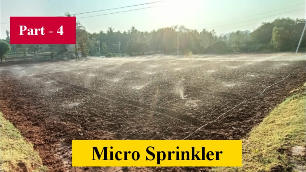 ಕ್ಯಾರೆಟ್ ಕೃಷಿಯಲ್ಲಿ ಬಳಸುವ ಸಿಂಚನ ನೀರಾವರಿ ಪದ್ಧತಿ ಬಗ್ಗೆ ಸಂಪೂರ್ಣ ಮಾಹಿತಿ | Micro Sprinkler | Irrigation |