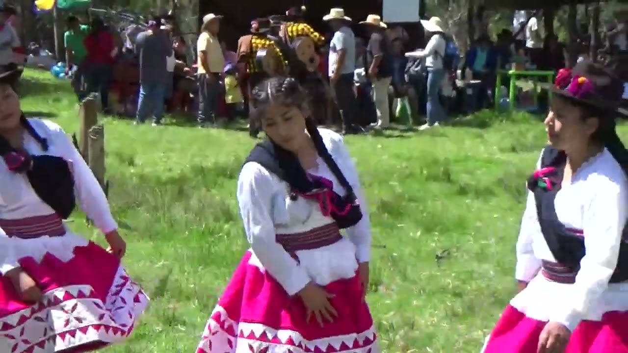 Pum pin de Colca en Quilla Qasa.