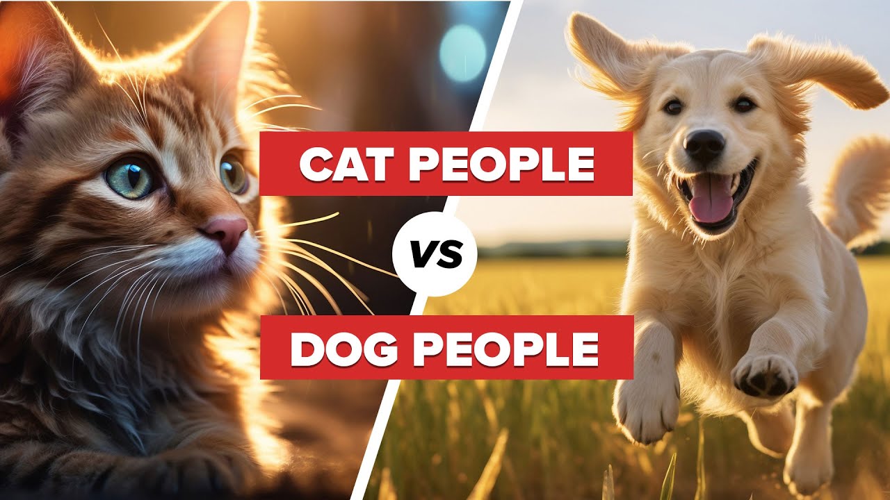 Are you a Cat Lover or a Dog Lover - Personality Differences