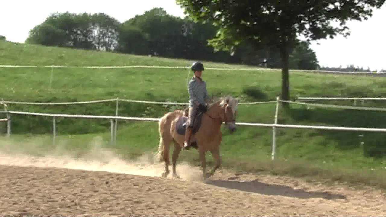KROMBACHTALSPERRE (3) Westerwald 2011- Clip 3: REITERHOF Krempel - Made by kanukassel