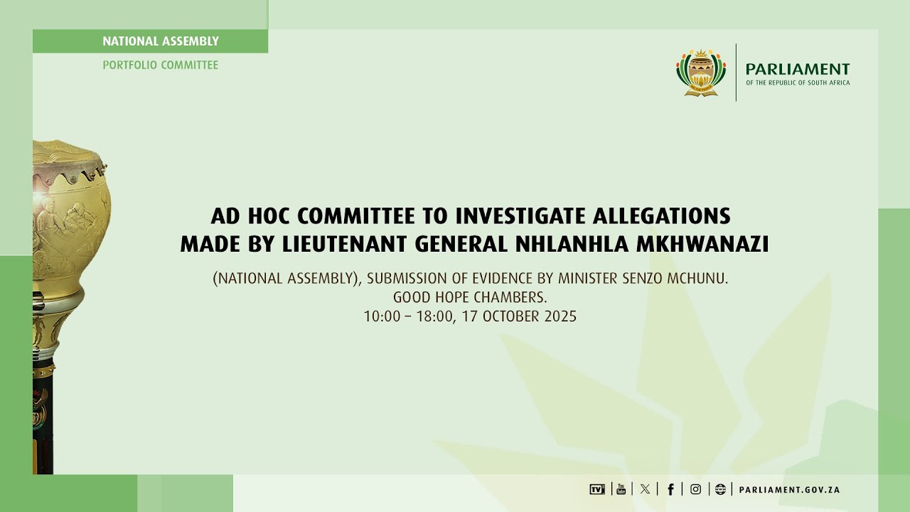 Ad Hoc Committee to Investigate Allegations made by Lieutenant General Mkhwanazi, 17 October 2025