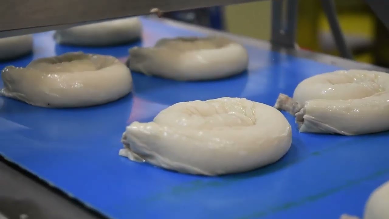 Herkules - prva u svijetu automatska linija za savijanje bureka/pita