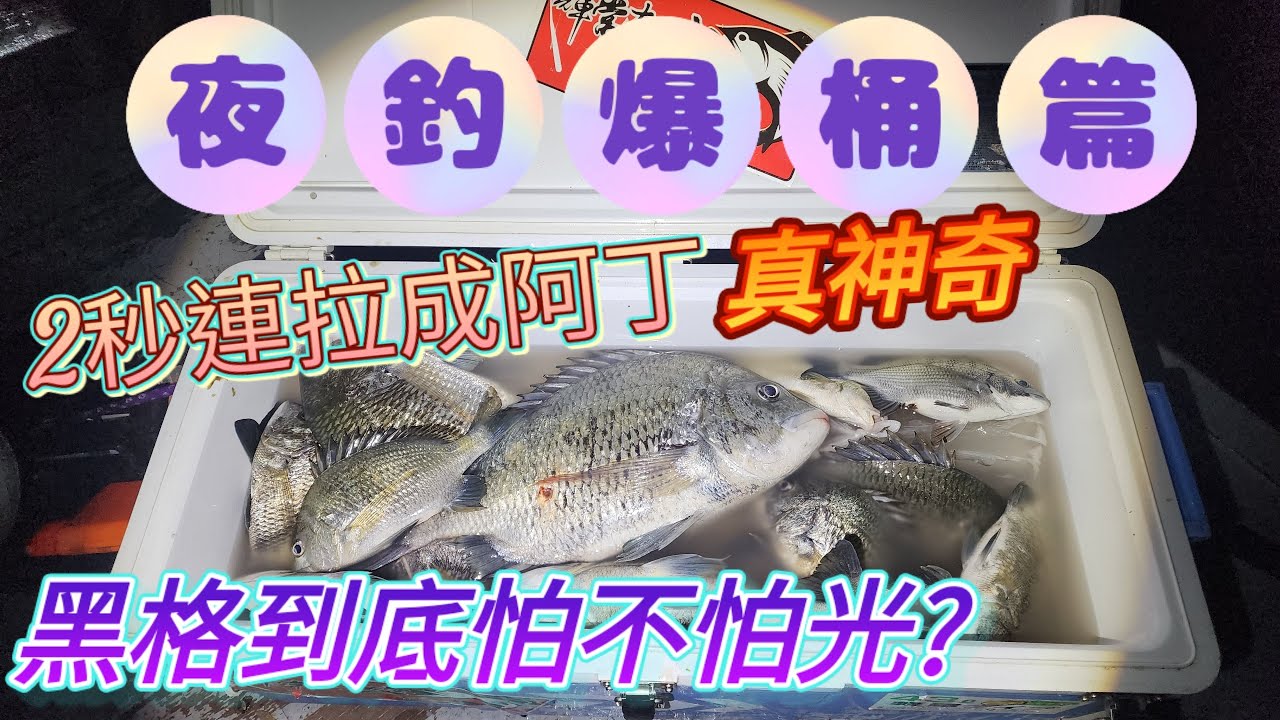 24H狂釣，夜釣爆桶，日釣也爆桶，會咬我為何我還一直換點?