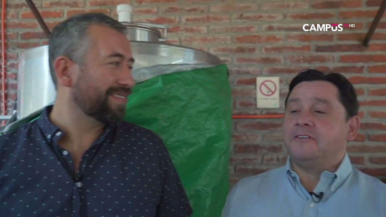 A qué Vino T1 Cap. 4: Vinificación de Tintos