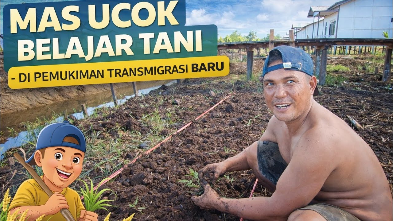 MAS UCOK TRANSMIGRAN LOKAL BAHAGIA DAPAT RUMAH TRANSMIGRASI KALIMANTAN TANJUNG BUKA SP 10