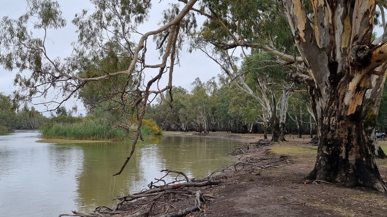 Barmah Lakes Region, Victoria