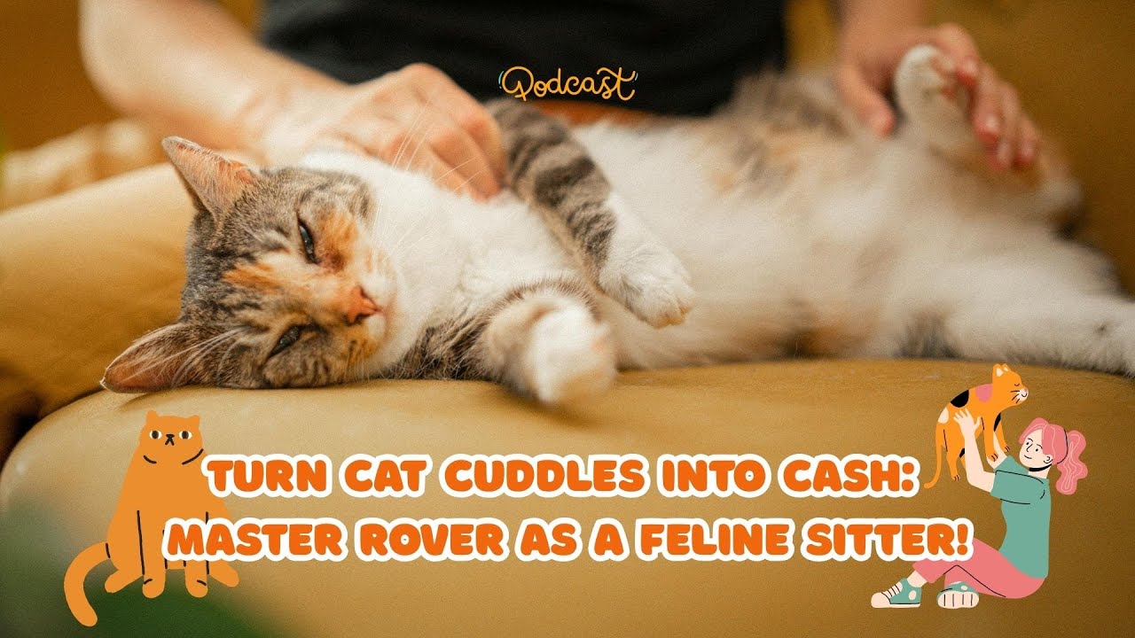 🐱Turn Cat Cuddles Into Cash: Master Rover as a Feline Sitter!