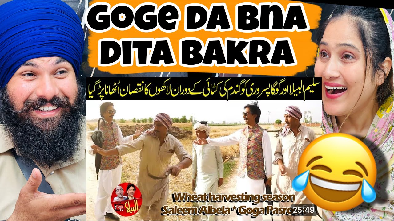 Goga ban gya Kama funny reaction video | albela tv new video | 