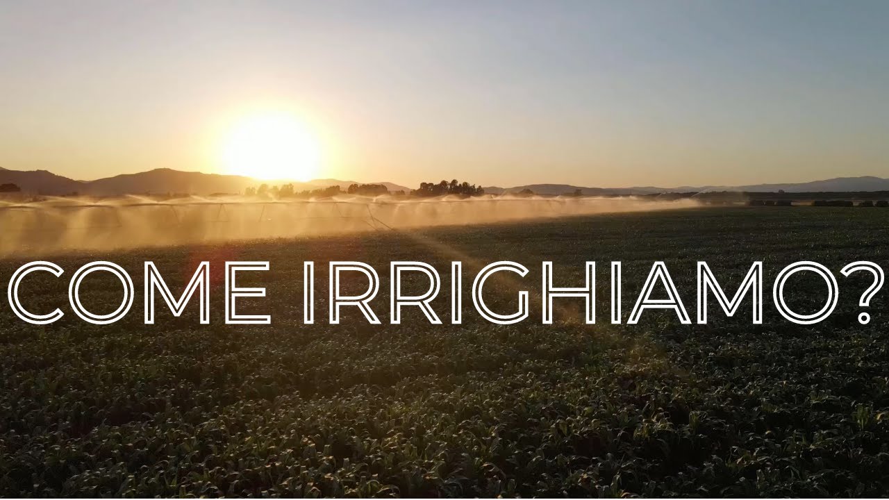 Come gestiamo l'acqua e irrighiamo a Le Rogaie? How do we manage water and irrigate? SUB ENG🇬🇧