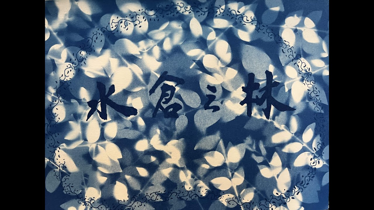 美麗的藍晒 Cyanotype Prints ---- 時間差技法