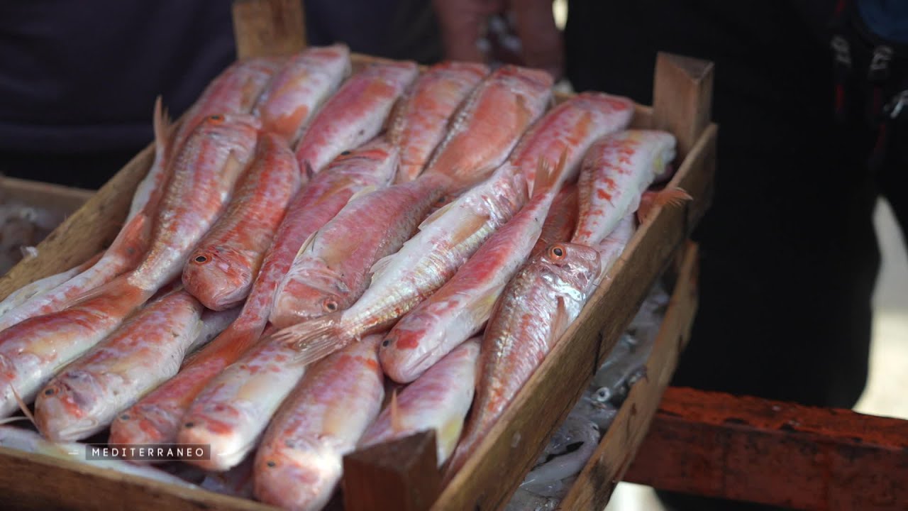 MEDITERRANEO – En Italie à Mazara del Vallo : les pêcheurs et le conflit des eaux territoriales