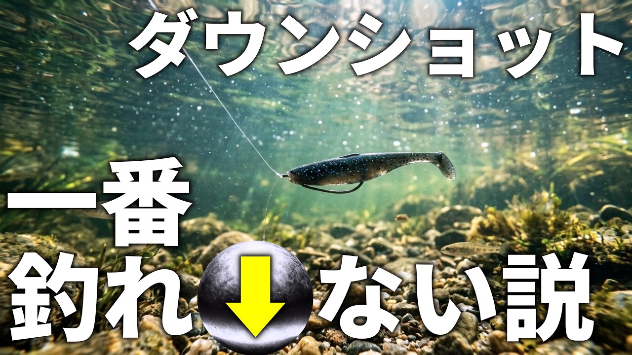 【驚愕の事実】ダウンショット、リグの中で一番釣りにくい説？【バス釣り】