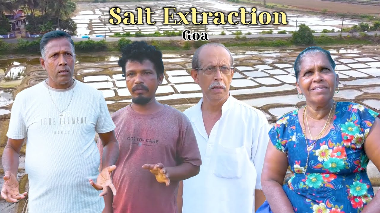 Salt Extraction in Goa - the current scenario | Sustainable Ripples Ep. 2