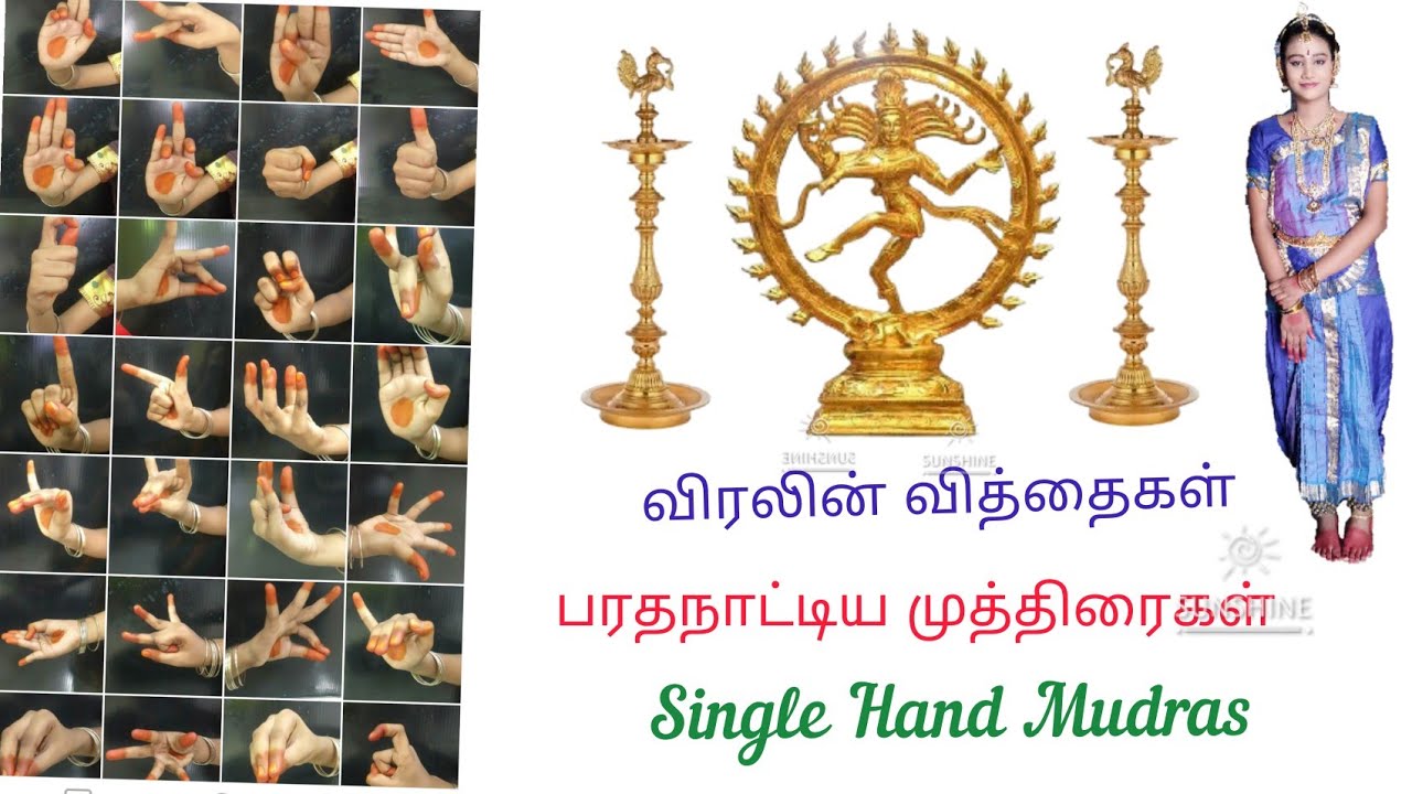 👍அஸம்யுத ஹஸ்தம்(ஒற்றைக்கை முத்திரைகள்)💥ASAMYUTHA HASTHA(Single Hand Mudras)✨ 3K ACADEMY